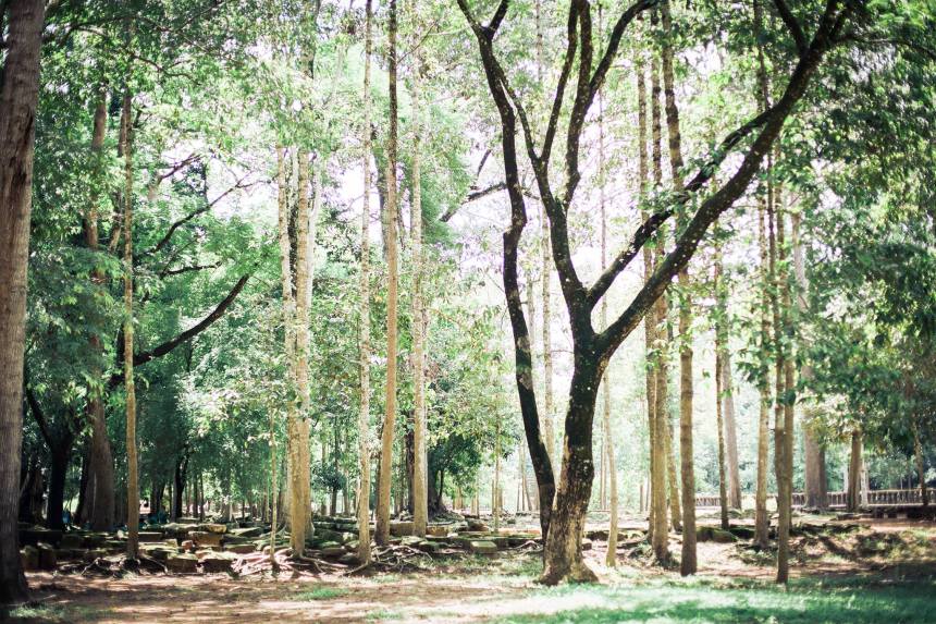 14990898_1227669407294421_8881238177753318594_o