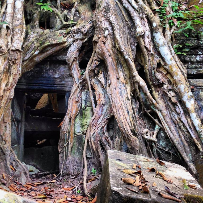 10644472_839868356047408_4504098186125644310_o