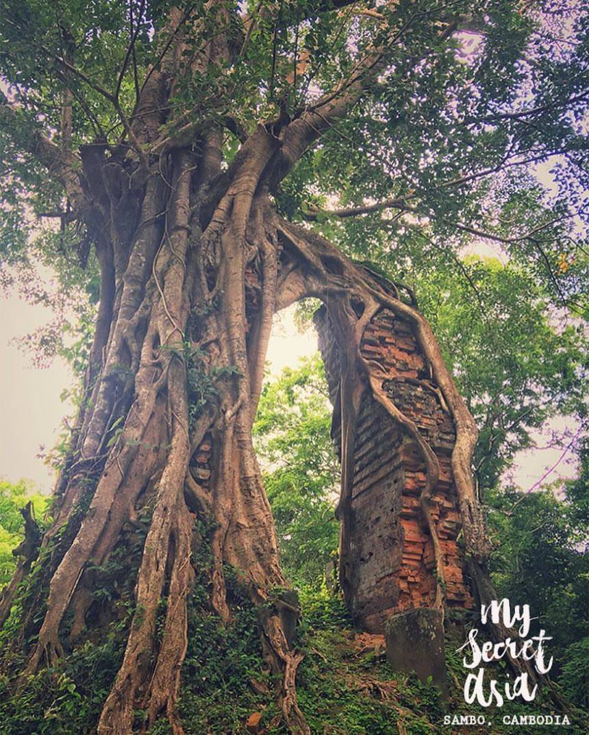 21054934_1634426883258214_5653773339239050531_o