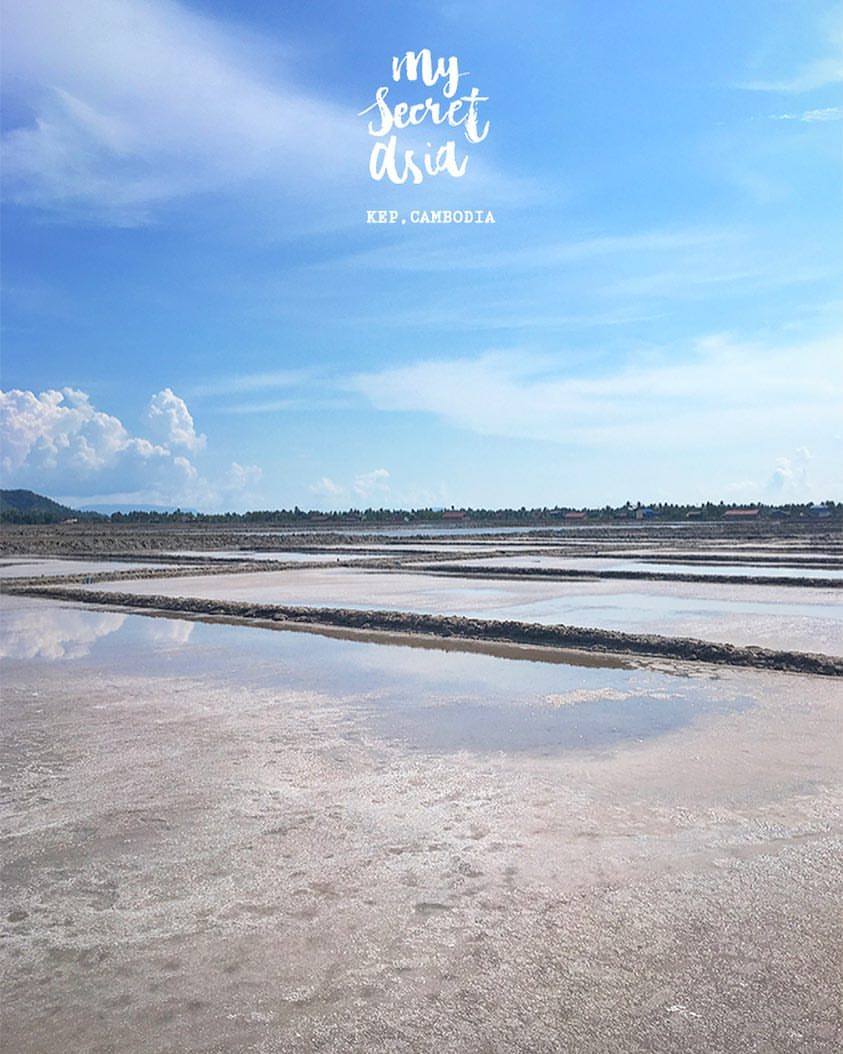 21949758_1663722656995303_3368417278057492224_o